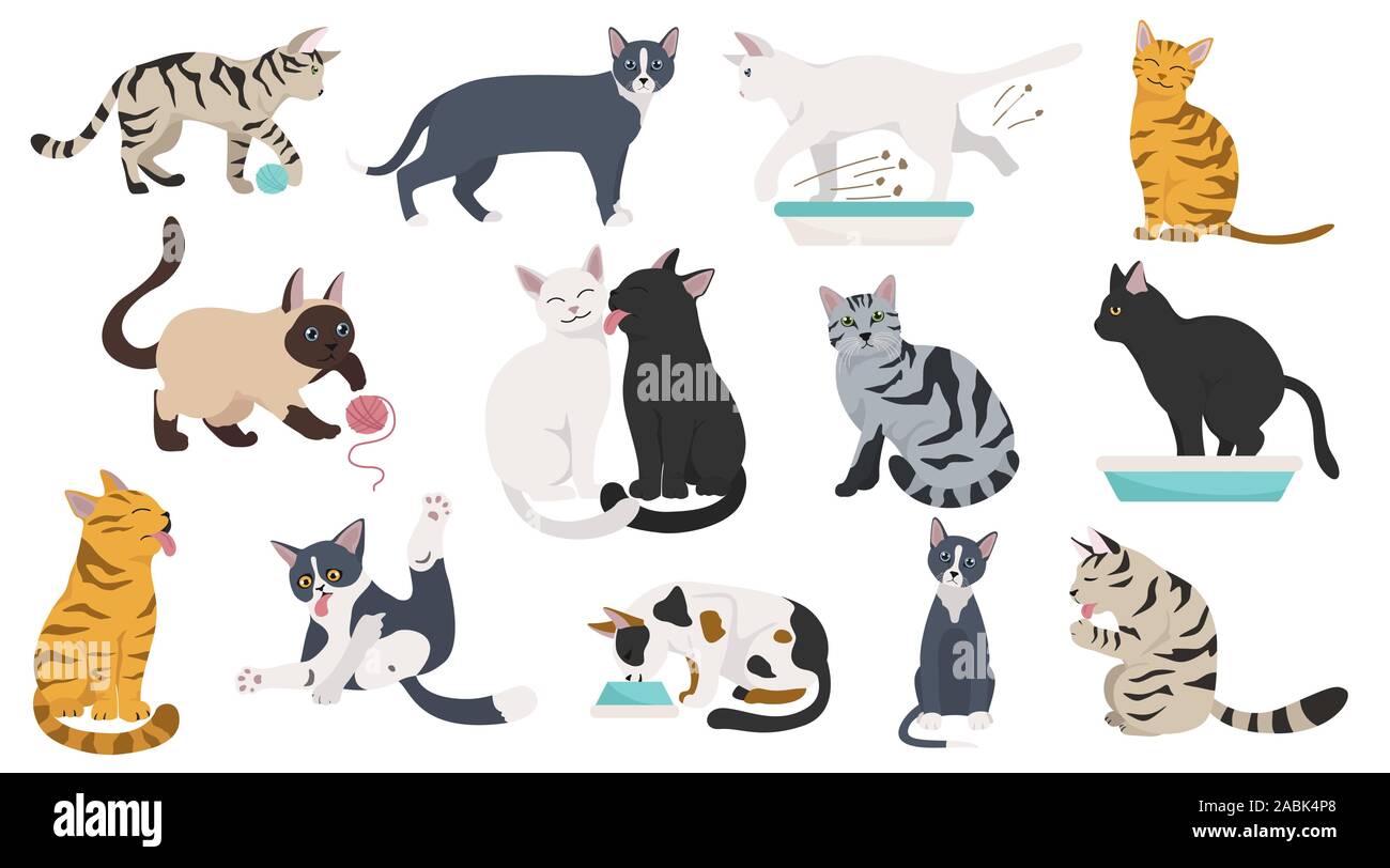 Cartoon cat characters collection. Different cat`s poses, yoga and emotions set. Flat color simple style design. Vector illustration Stock Vector